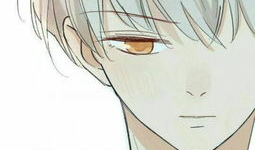 男攻男受漫画,男攻男受漫画中的甜蜜纠葛