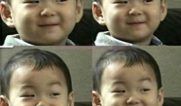 娱乐圈的吃瓜群众 一,吃瓜群众的一生见证